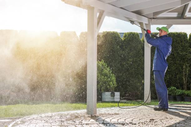 Best Solar Panel Cleaning  in Whitewater, CA